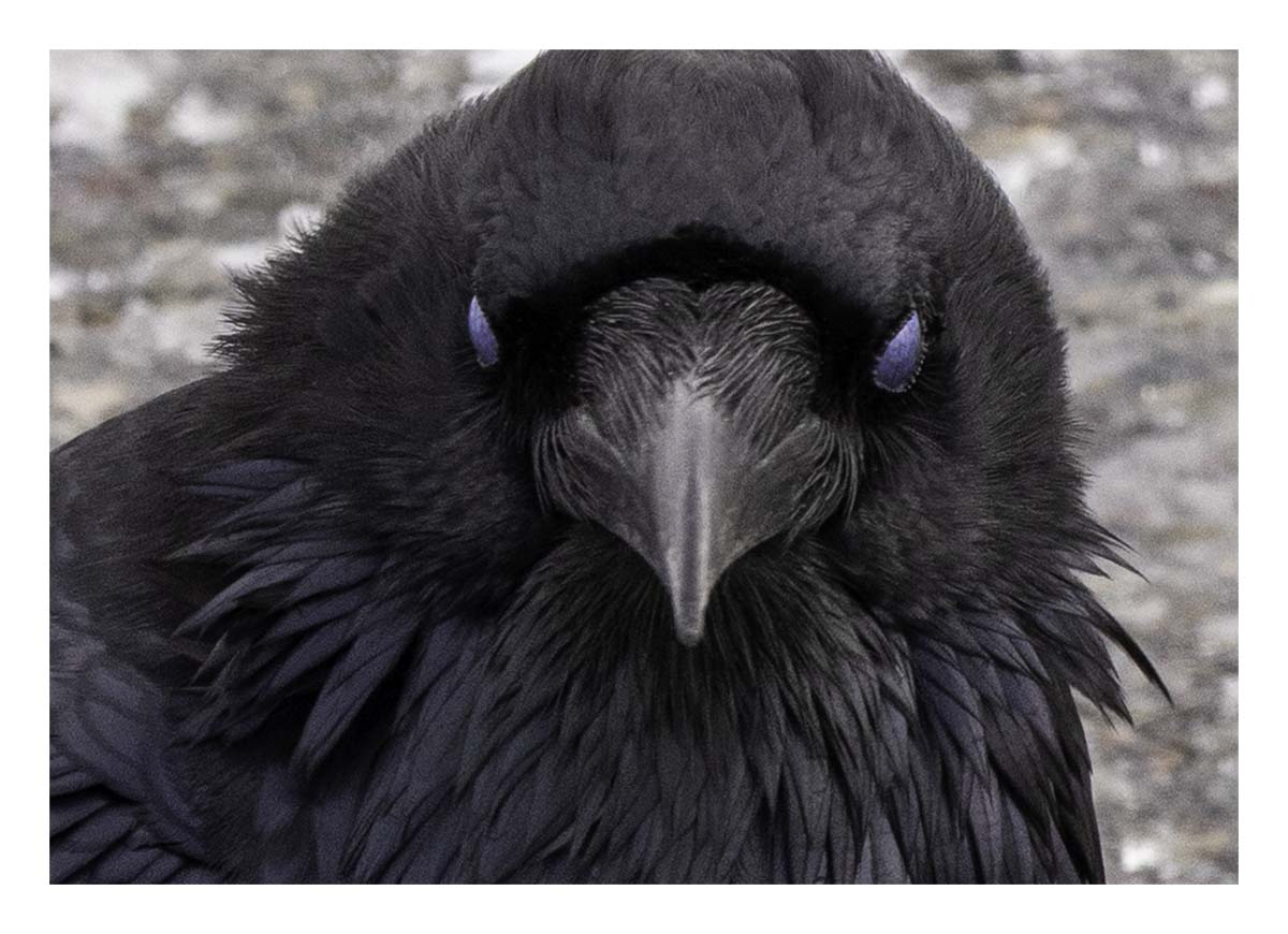 Grand Teton NP